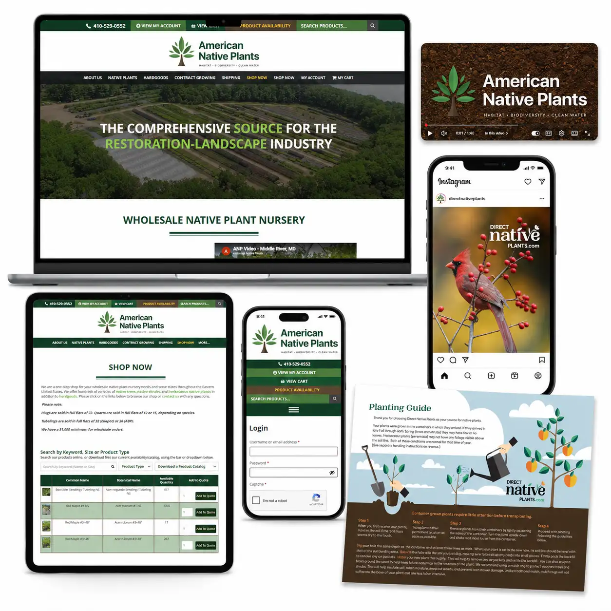 American Native Plants wholesale website and rebrand case study
