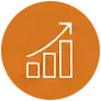Support and optimize icon